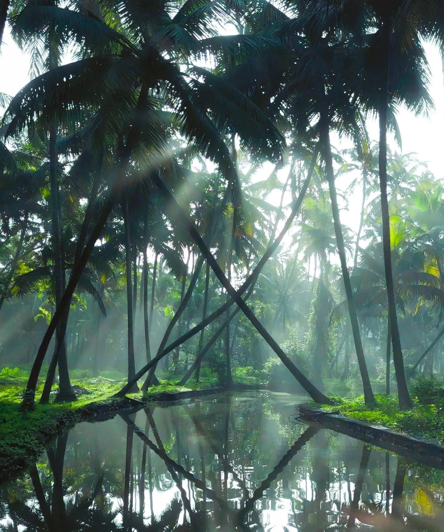 beauty-of-kerala-gods-own-country-v0-cx6wkgv6ur4e1